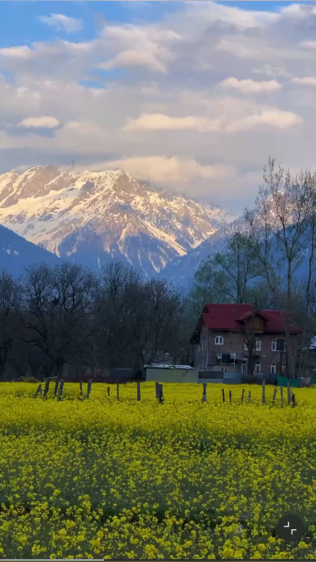 Kashmir