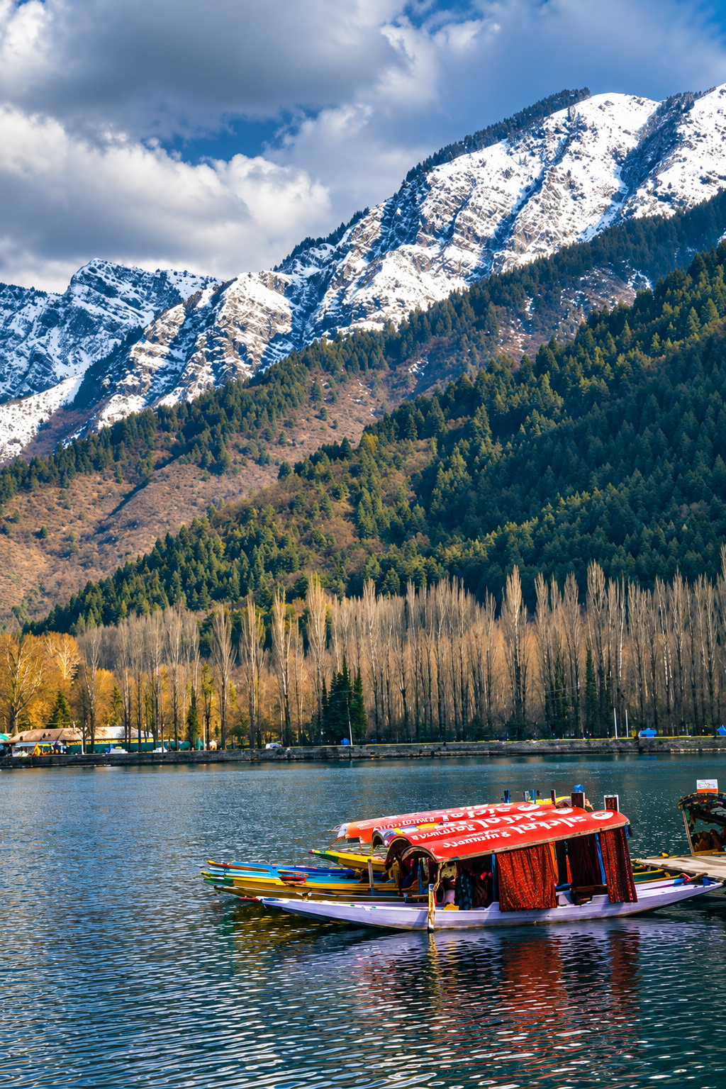 Kashmir