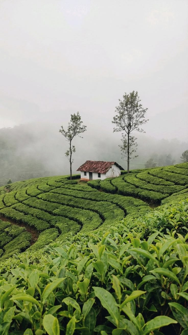 Kerala