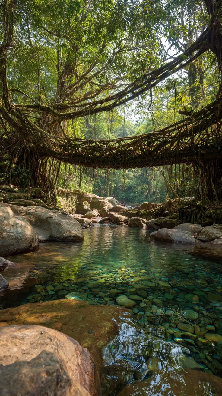 Meghalaya